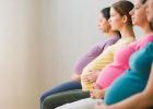 Меры социальной поддержки беременным женщинам, кормящим матерям