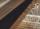 ГДЗ по литературе для учащихся 8 класса