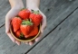 Наибольшим количеством антиоксидантов обладают  фрукты, овощи  красного цвета